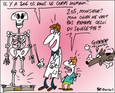 Où se trouvent 25% des os du corps humain ?