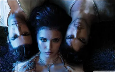 Qui Damon a-t-il transformé en vampire ? (grâce à son sang)