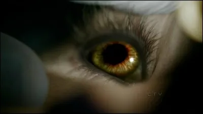 Qui est ce loup-garou ?