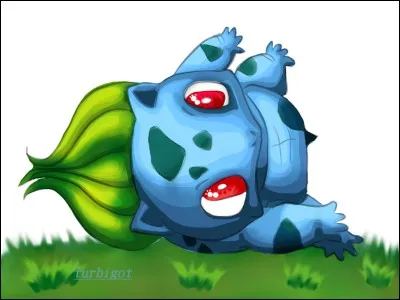 Quel est le type de ce Pokémon ?