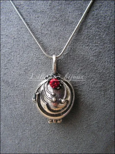 A qui appartient ce collier ? (à la base)