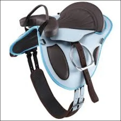 Cite 5 parties de la selle.