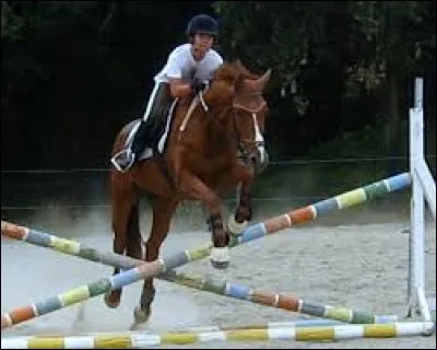 Qu'est-ce que l'impulsion ?