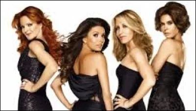 Quelle est cette série ?