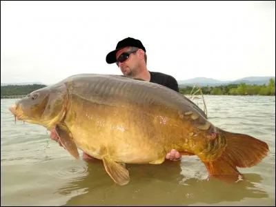 C'est une union mal assortie !