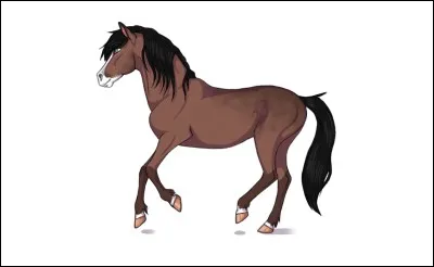 Passons a la partie théorique ! 
Quel est le nom de la robe de ce cheval ?