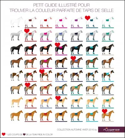 Quelles sont les robes de base ?