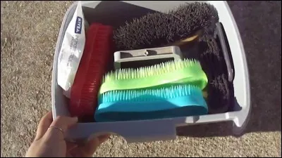 Avant de préparer ton cheval, tu dois le panser. Dans quel ordre doit-on utiliser les brosses ?