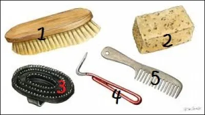 Comment s'appelle la brosse numéro 1 ?
