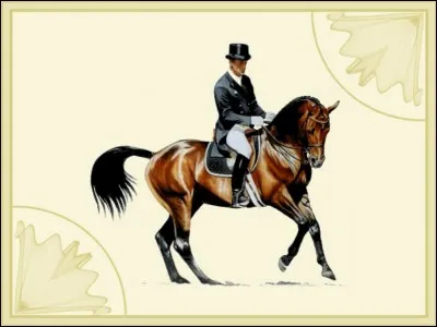 Avant de monter , tu dois :