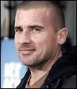 Quel est le signe astrologique de dominic purcell?