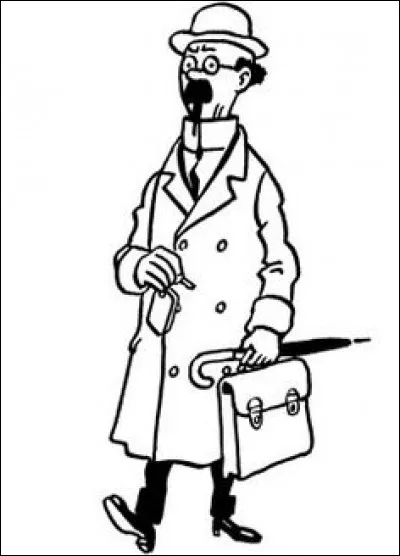 De quelle couleur est le chapeau du Professeur Tournesol ?