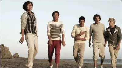 Lequel des membres ne sait pas nager ?