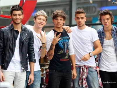 Lesquels ont actuellement une copine ? (juin 2017)