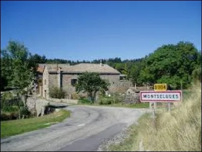 Montselgues est un village de l'ancienne région Rhône-Alpes situé dans le département ...