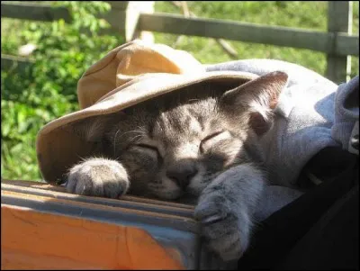 Bureau d'un trésorier-payeur !