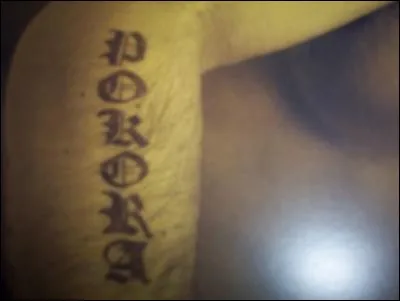 Que veut dire ''Pokora'' en polonais ?