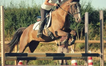Quiz Galop 3