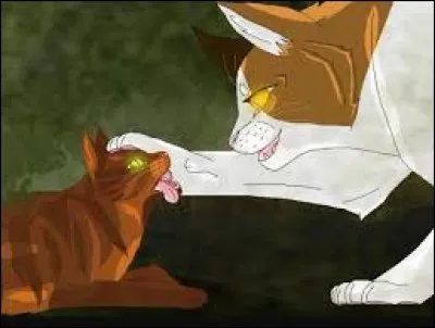 Qui était son mentor nocturne ?