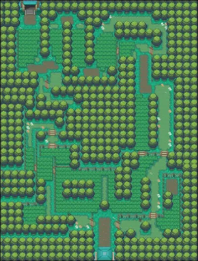 La forêt de Jade se situe dans la région de :