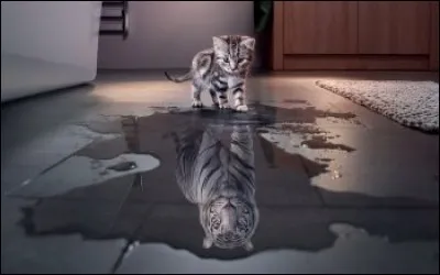 En quel animal voit-il son reflet ?