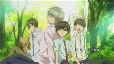 De quel anime est cet opening ?