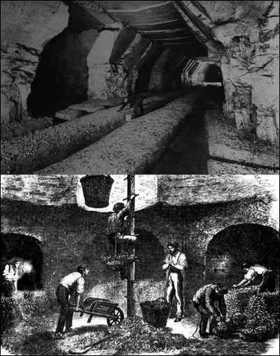 Restons « Place Denfert-Rochereau », mais descendons dans les « catacombes » !
Nous sommes en 1814 et nous accompagnons un certain Chambry lorsqu'il fit une découverte. Intelligemment, nous lui proposons quelques façons délicieuses de préparer sa découverte !
Qu'est-ce que ce cher Chambry a découvert ?