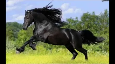 Quel est son rythme cardiaque ?