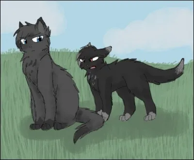 Qui est ce chat gris ?