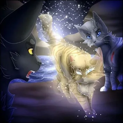 Quel est ce chat qui s'interpose ?