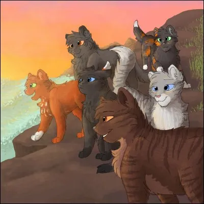 Qui est le chat derrière Jolie plume ?