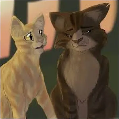 Quels sont ces deux chats ?