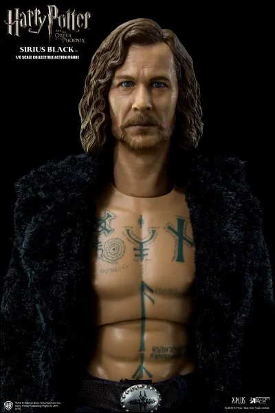 Qui est le petit neveu de Sirius Black ?