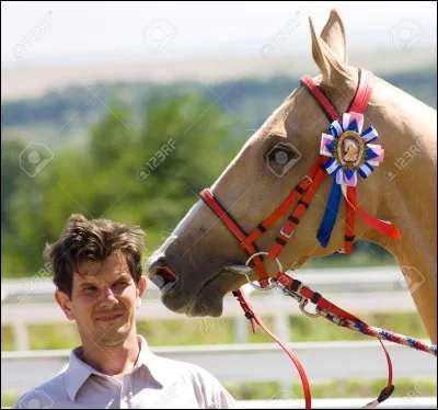 De quelle race est-il ?