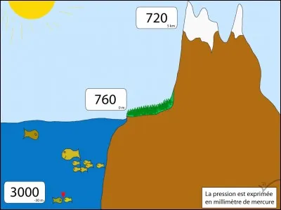Quelle est l'altitude moyenne des terres émergées ?