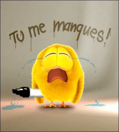 Elle me manque ! Comment traduisez-vous cela en anglais ?