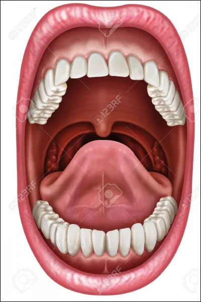 Qu'est-ce que l'on te dit le moins ?