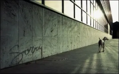 Que signifie "Sorry" ?