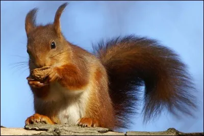 Un indice : ça n'a rien à voir avec la caisse d'Epargne !