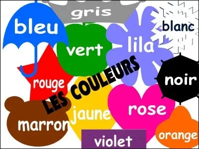 Quelle est ta couleur pr&eacute;f&eacute;r&eacute;e ?