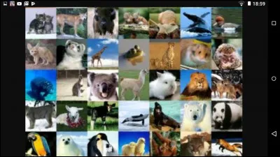 Quel est ton animal préféré ?