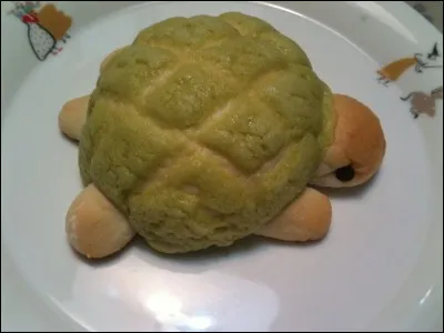 Comment s'appelle sa tortue ?