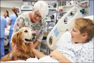 Mousse dont la décomposition concourt à la formation de la tourbe !