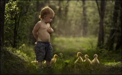 Nom scientifique du blanc de baleine !