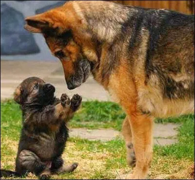 Petite cavité de l'oreille interne !