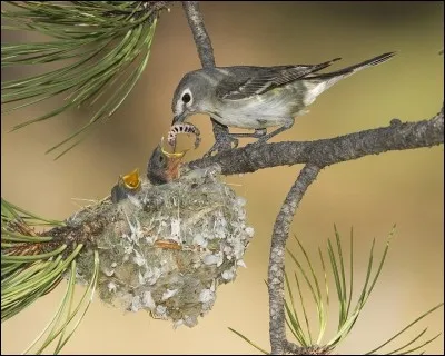 Moyen détourné pour se tirer d'embarras !