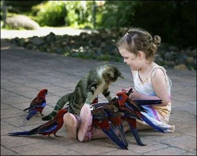 Se douter de quelque chose !