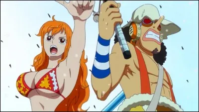 Quelle bille utilise Usopp pour protéger Nami de la fausse Nami ?