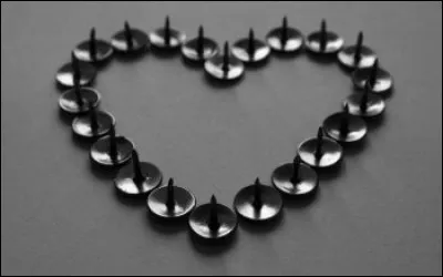 Combien y a-t-il de punaises qui forment le cur ?