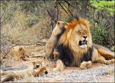 Combien d'habitants le pays compte-t-il à la moitié de l'année 2014 ?